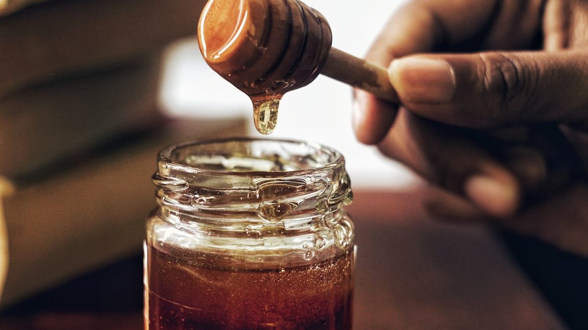 Wooden beehives at the edge of Lori forest, early summer